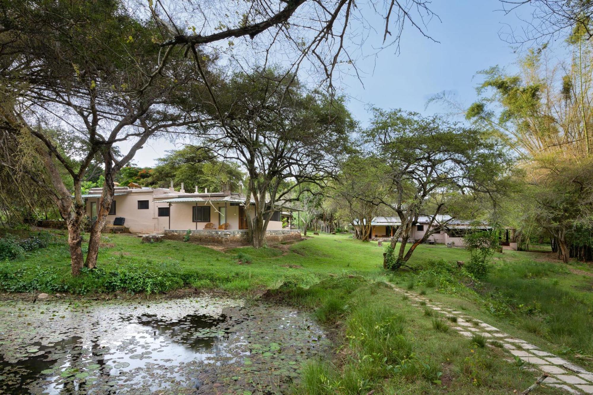 Jungle Hut Hotel Masinagudi Exterior foto